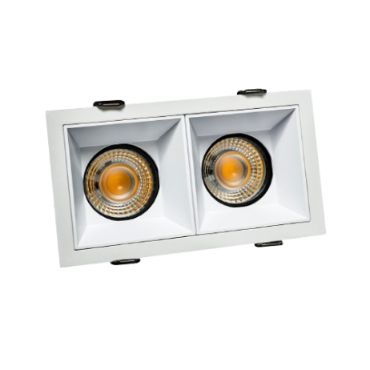 Twin COB Light