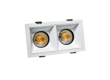 12Watt Smart Twin COB Light